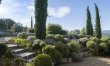 Sunny in Provence 4