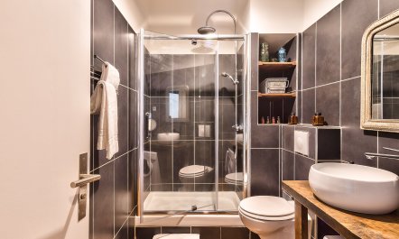 Madame Libert&eacute; 3