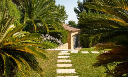 Panoramic Provence Views 3