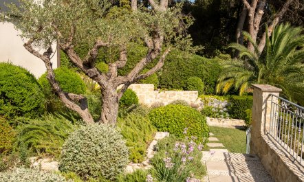 Panoramic Provence Views 4