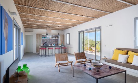 Golden Countryside 5