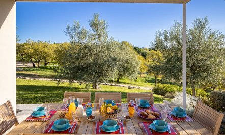 Golden Countryside 1