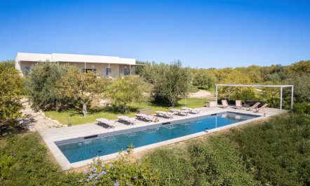 Golden Countryside 3