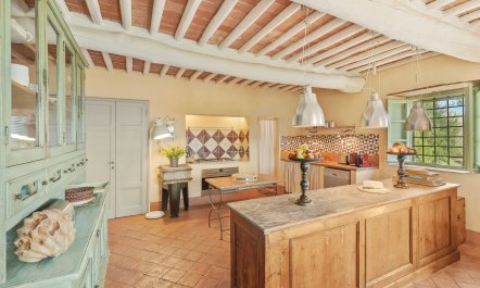 Olive Trees & Rolling Hills 9