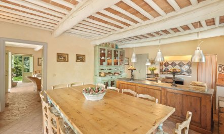 Olive Trees & Rolling Hills 8