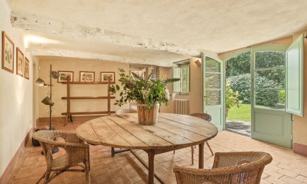 Olive Trees & Rolling Hills 7