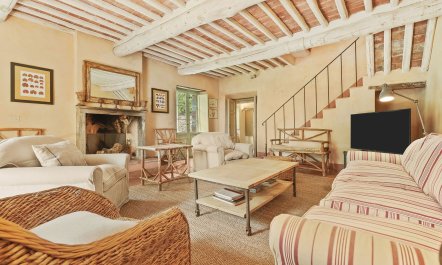 Olive Trees & Rolling Hills 5