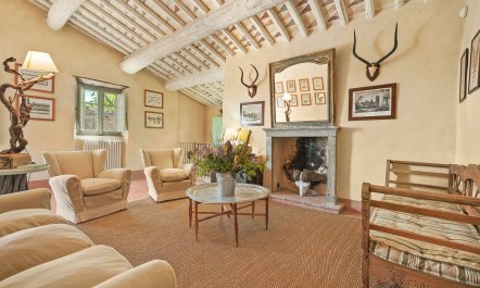 Olive Trees & Rolling Hills 6