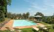 Olive Trees & Rolling Hills 2