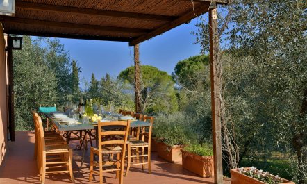 Tuscan Peace 5