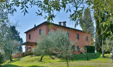 Tuscan Peace 3