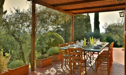 Tuscan Peace 4