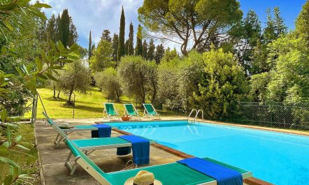 Tuscan Peace