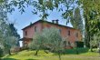 Tuscan Peace 3