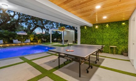 Palm Tree Playhouse 6