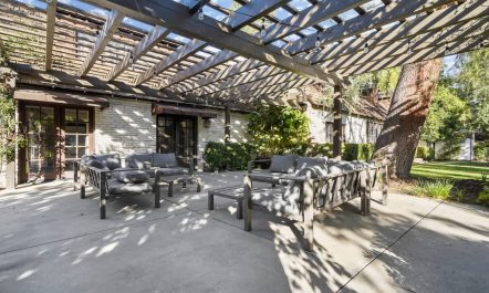 In the Shadows of Palms 3