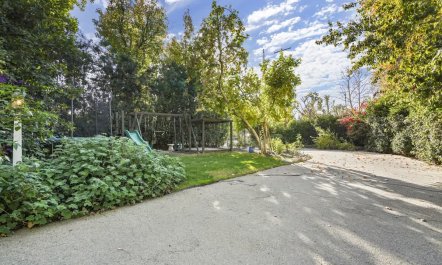 In the Shadows of Palms 4