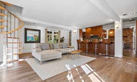 In the Shadows of Palms 1