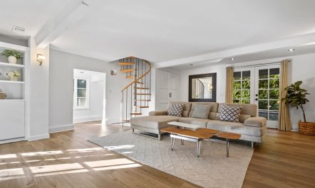 In the Shadows of Palms 7