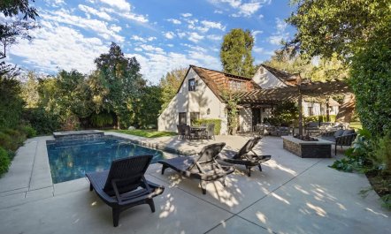 In the Shadows of Palms 2