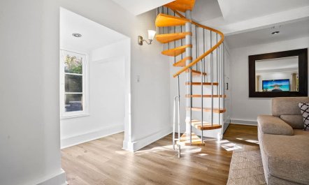 In the Shadows of Palms 9