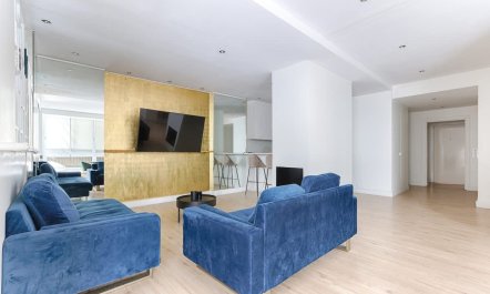 Elegant Parisian Avenue 3