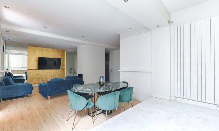 Elegant Parisian Avenue 4