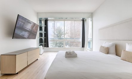 Elegant Parisian Avenue 7