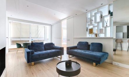 Elegant Parisian Avenue