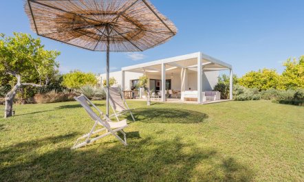 Mediterannean Mornings 1