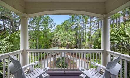 Palm Trees & Golfing Greens