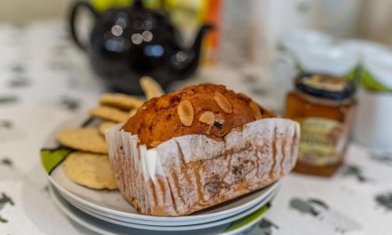 2 Bed in Cinderford 3