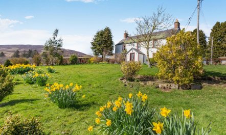 3 Bed in Kirriemuir