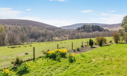 3 Bed in Kirriemuir 1