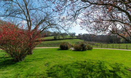 1 Bed in Tenterden 6