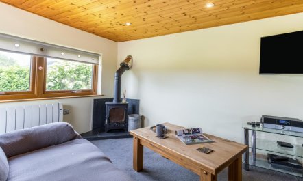 1 Bed in Llandrindod Wells 7