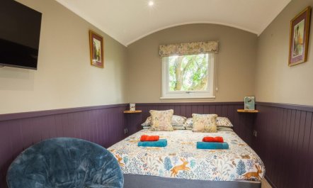 1 Bed in South Molton 5