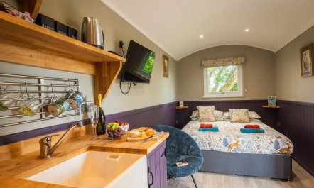 1 Bed in South Molton 1