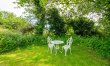 2 Bed in Saxmundham 7