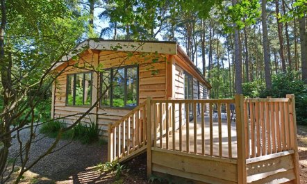 2 Bed in Weybourne 7