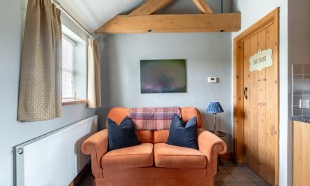 1 Bed in Swanton Abbott 9