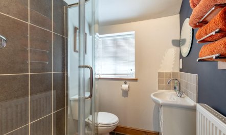 1 Bed in Swanton Abbott 8