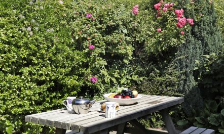 3 Bed in Woodbridge 9