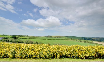 3 Bed in Llandysul 3