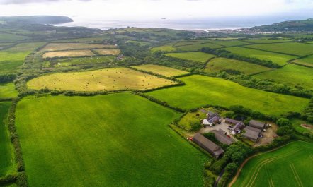 1 Bed in Little Haven 7