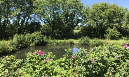 1 Bed in Little Haven 6