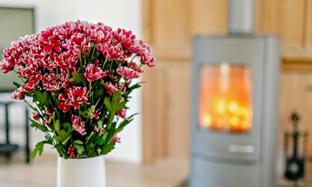 2 Bed in Wadebridge 6