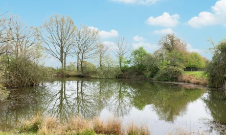 1 Bed in Frittenden 2