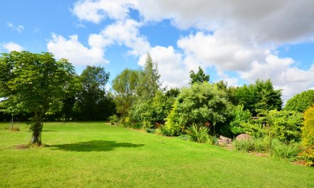 2 Bed in Attleborough 3