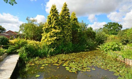 2 Bed in Attleborough 9